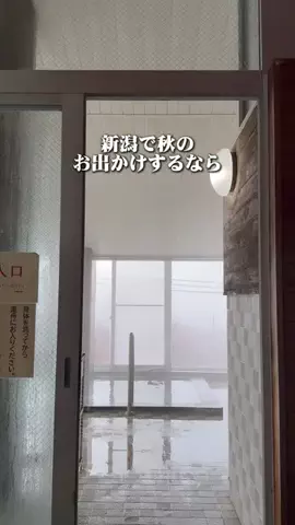 新潟グルメ/NIIGTA SELECTのTikTok投稿