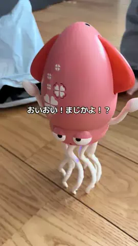 baby catのTikTok投稿
