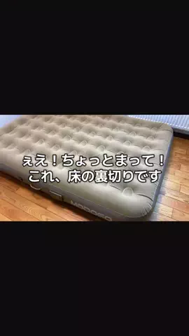 baby catのTikTok投稿