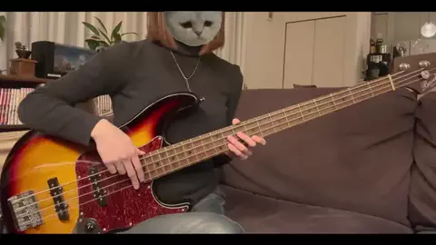 ちりめんじゃこのTikTok投稿
