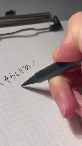 そらしどのTikTok投稿