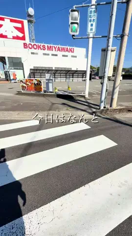 ソロ美|香川グルメのTikTok投稿