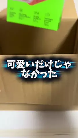 あめだま会社員のTikTok投稿