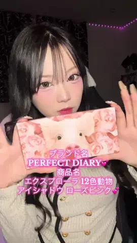 ねねのTikTok投稿