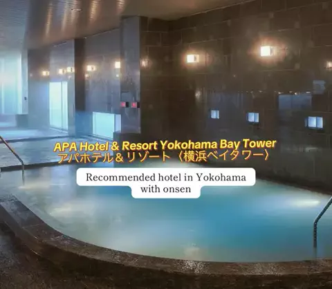 JapanTravelFairyのTikTok投稿