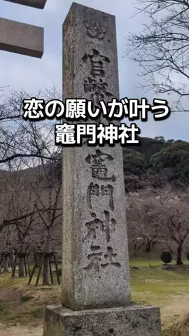 ダイエットティーチャーやのへいのTikTok投稿