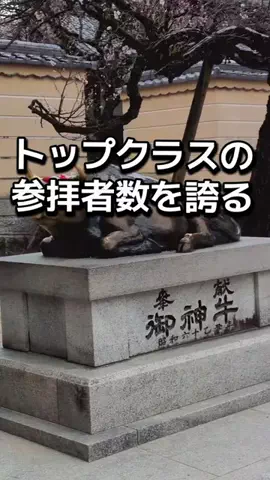 ダイエットティーチャーやのへいのTikTok投稿