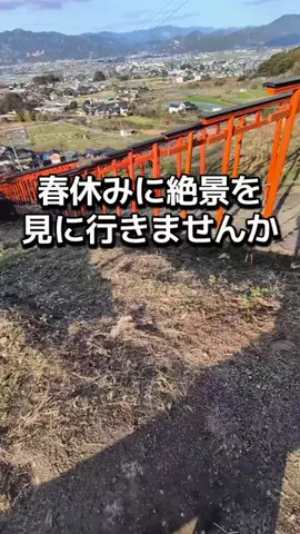 ダイエットティーチャーやのへいのTikTok投稿
