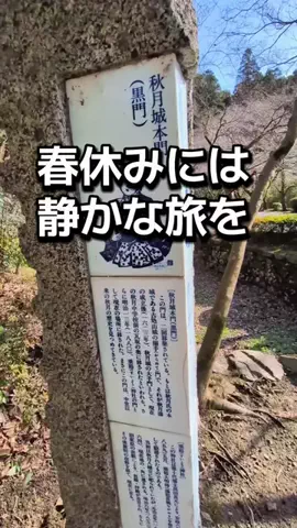 ダイエットティーチャーやのへいのTikTok投稿