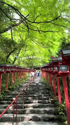 マイタビ / JAPAN TRIPのTikTok投稿