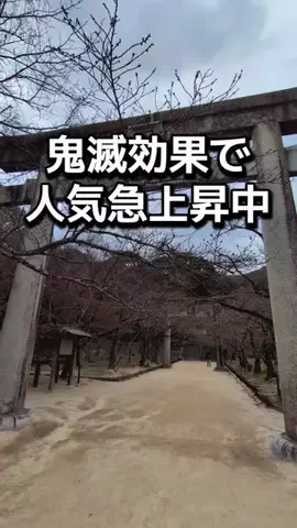ダイエットティーチャーやのへいのTikTok投稿