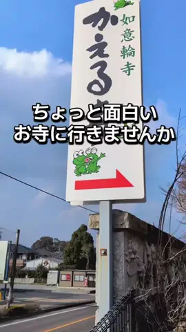 ダイエットティーチャーやのへいのTikTok投稿