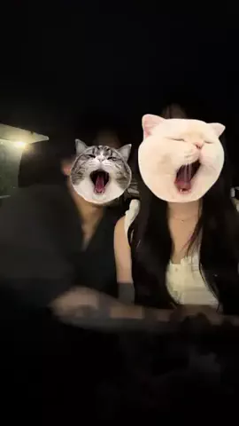 mayuのTikTok投稿