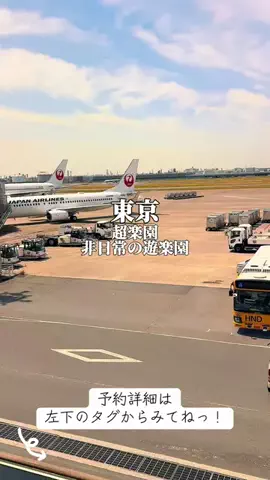 りぃ　たびグルメのTikTok投稿
