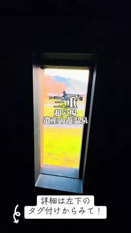 りぃ　たびグルメのTikTok投稿