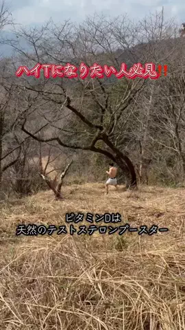 TAIYO/サンシャインのTikTok投稿