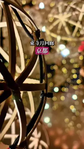 京都ちいかわ家のTikTok投稿
