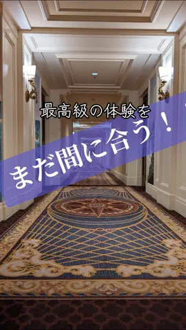 🉐得にゃん🐈‍⬛のTikTok投稿