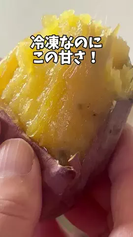 ポンコのTikTok投稿
