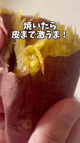 ポンコのTikTok投稿