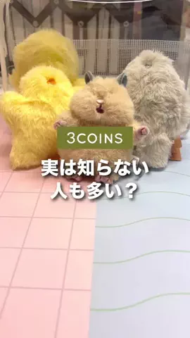 スリコの達人MaikoのTikTok投稿