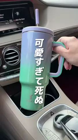 健さんのTikTok投稿