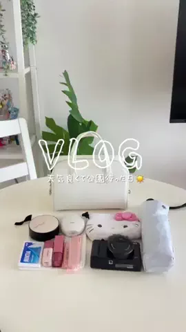 さやぞうのTikTok投稿