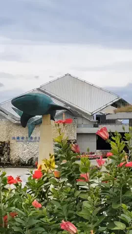 ＨＩＲＯのTikTok投稿