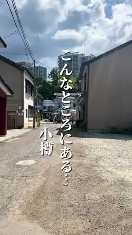 ぽろグルのTikTok投稿