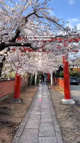 マイタビ / JAPAN TRIPのTikTok投稿