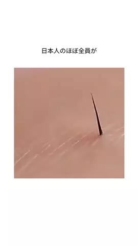 mibokogaのTikTok投稿