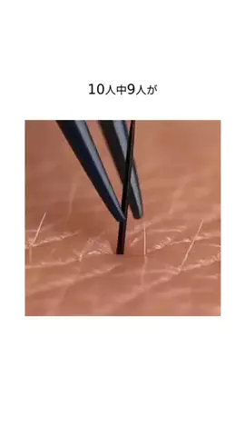 mibokogaのTikTok投稿