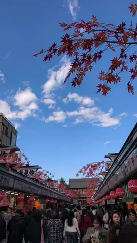 Lei LynnのTikTok投稿