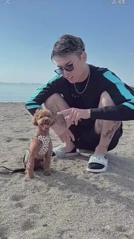たくちゃん🔨⛑️❤️‍🔥のTikTok投稿