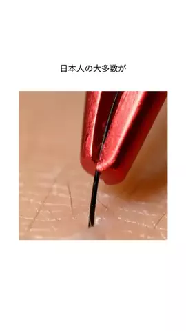 mibokogaのTikTok投稿