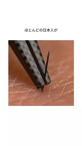 mibokogaのTikTok投稿