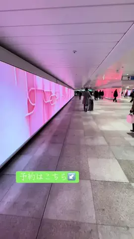 ありまめ⭐️(豆の人)🫛のTikTok投稿