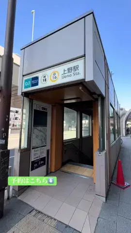 ありまめ⭐️(豆の人)🫛のTikTok投稿