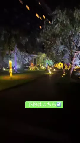 ありまめ⭐️(豆の人)🫛のTikTok投稿
