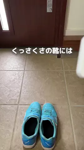 ゆこママのTikTok投稿