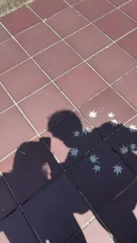97のTikTok投稿
