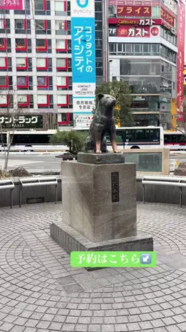 ありまめ⭐️(豆の人)🫛のTikTok投稿