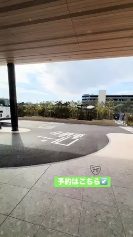 ありまめ⭐️(豆の人)🫛のTikTok投稿