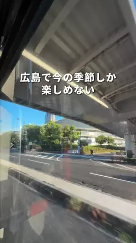 鯉の介。のTikTok投稿