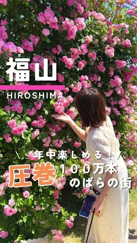 つこ🍋広島がすきすぎるOLのTikTok投稿