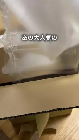 ちゃちゃ| ３兄弟と戦うズボラ母のTikTok投稿