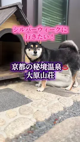 週末の旅たつ♤Ωホテル紹介のTikTok投稿