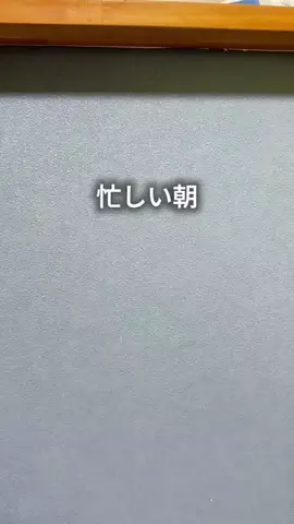 ちゃちゃ| ３兄弟と戦うズボラ母のTikTok投稿