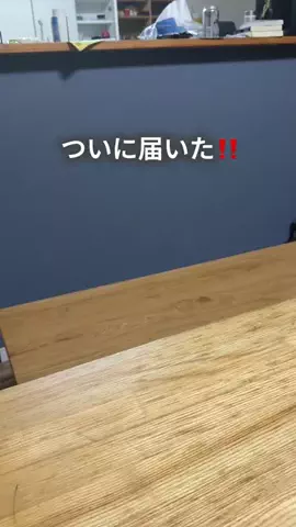 ちゃちゃ| ３兄弟と戦うズボラ母のTikTok投稿