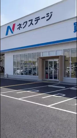 金髪社長ミサ🚗のTikTok投稿